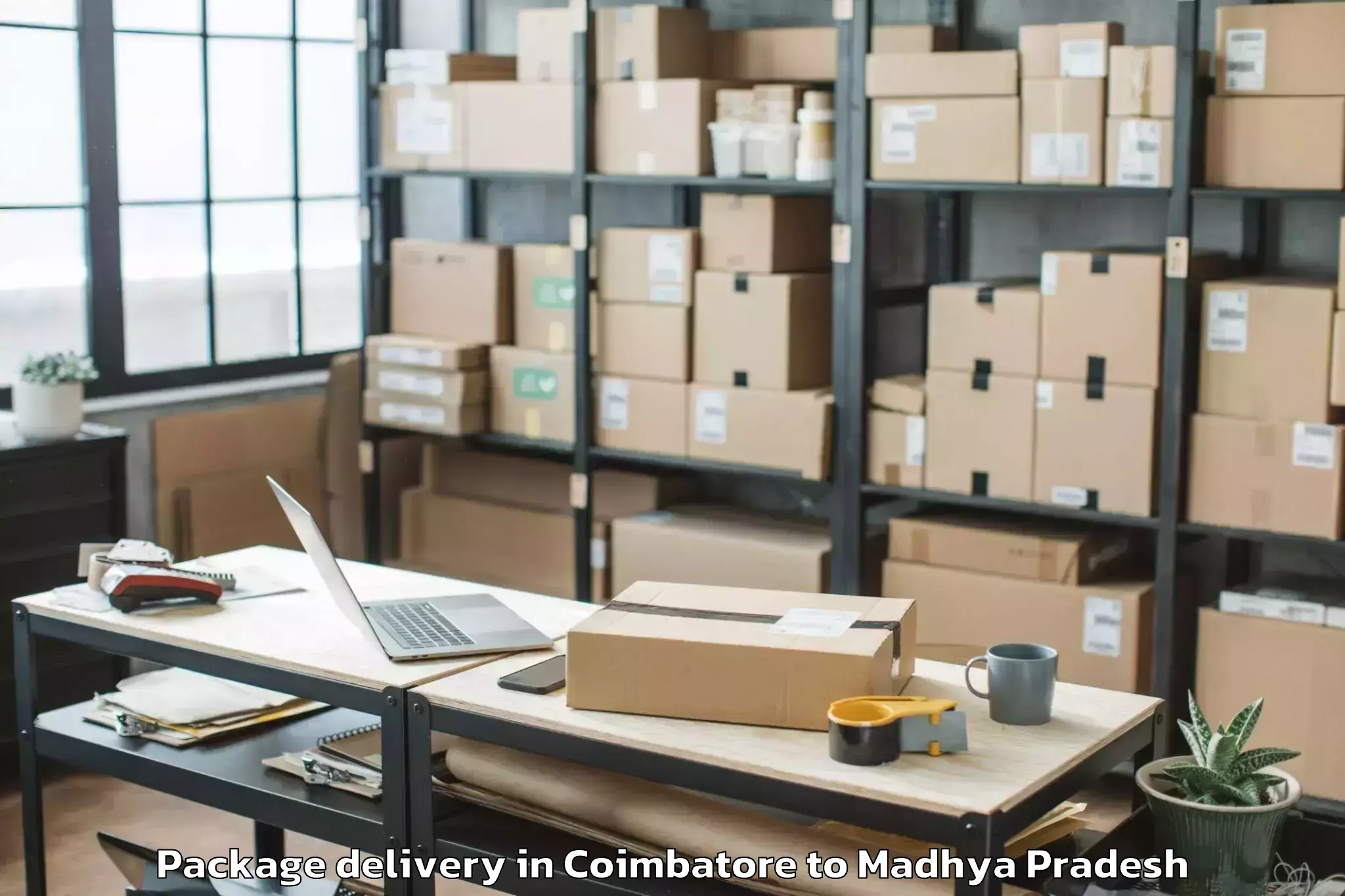 Hassle-Free Coimbatore to Nalkheda Package Delivery